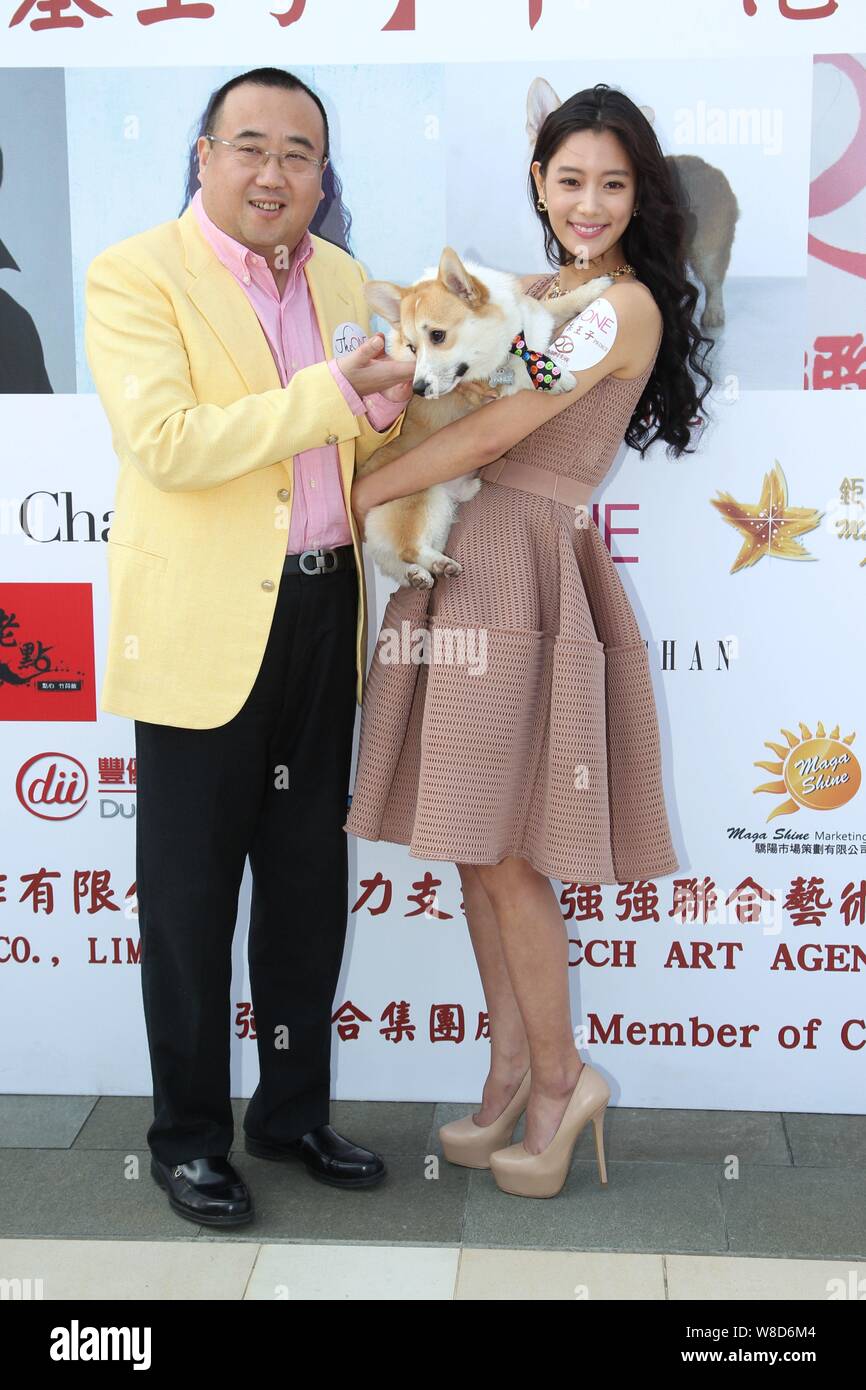 Clara the corgi 2025