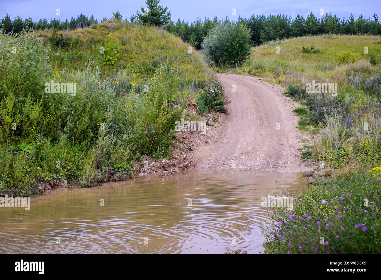 Rural road in the field goes under water in the pond Stock Photo