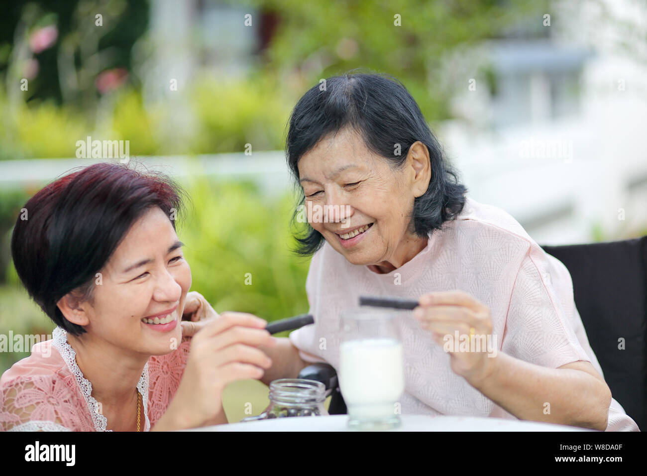 Daughter caring for the elderly asian woman ,picking a chocolate cookie to mother in backyard. Stock Photo