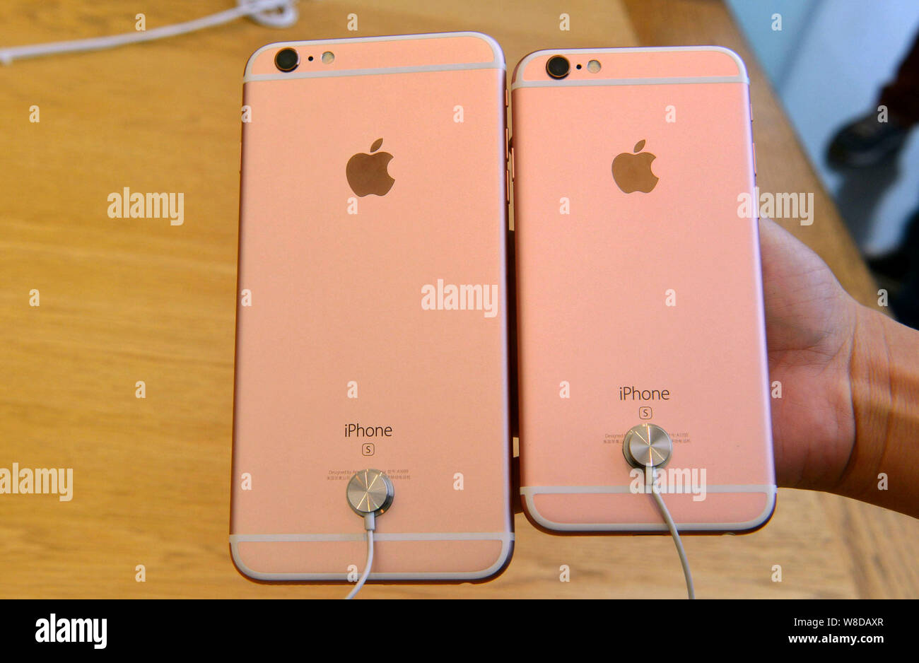 A Customer Compares Rose Gold Apple Iphone 6s And 6s Plus