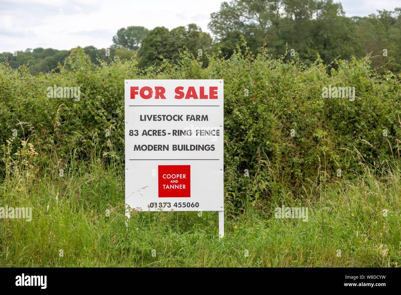 Estate agent Cooper and Tanner property for sale sign at livestock farm Compton Bassett,, Wiltshire, England, UK Stock Photo