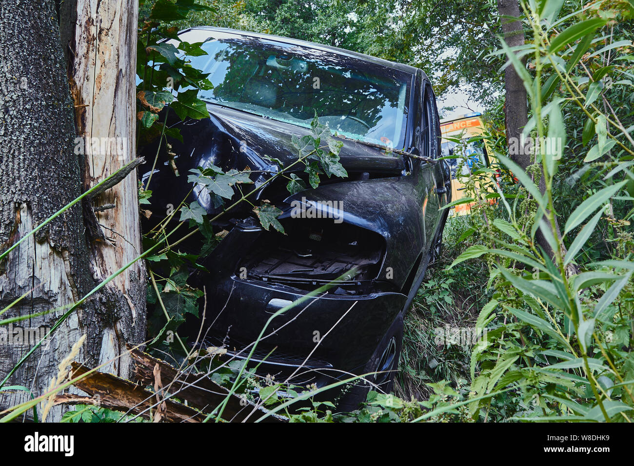 Crossover collision with tree at the scene of an accident on a road ...