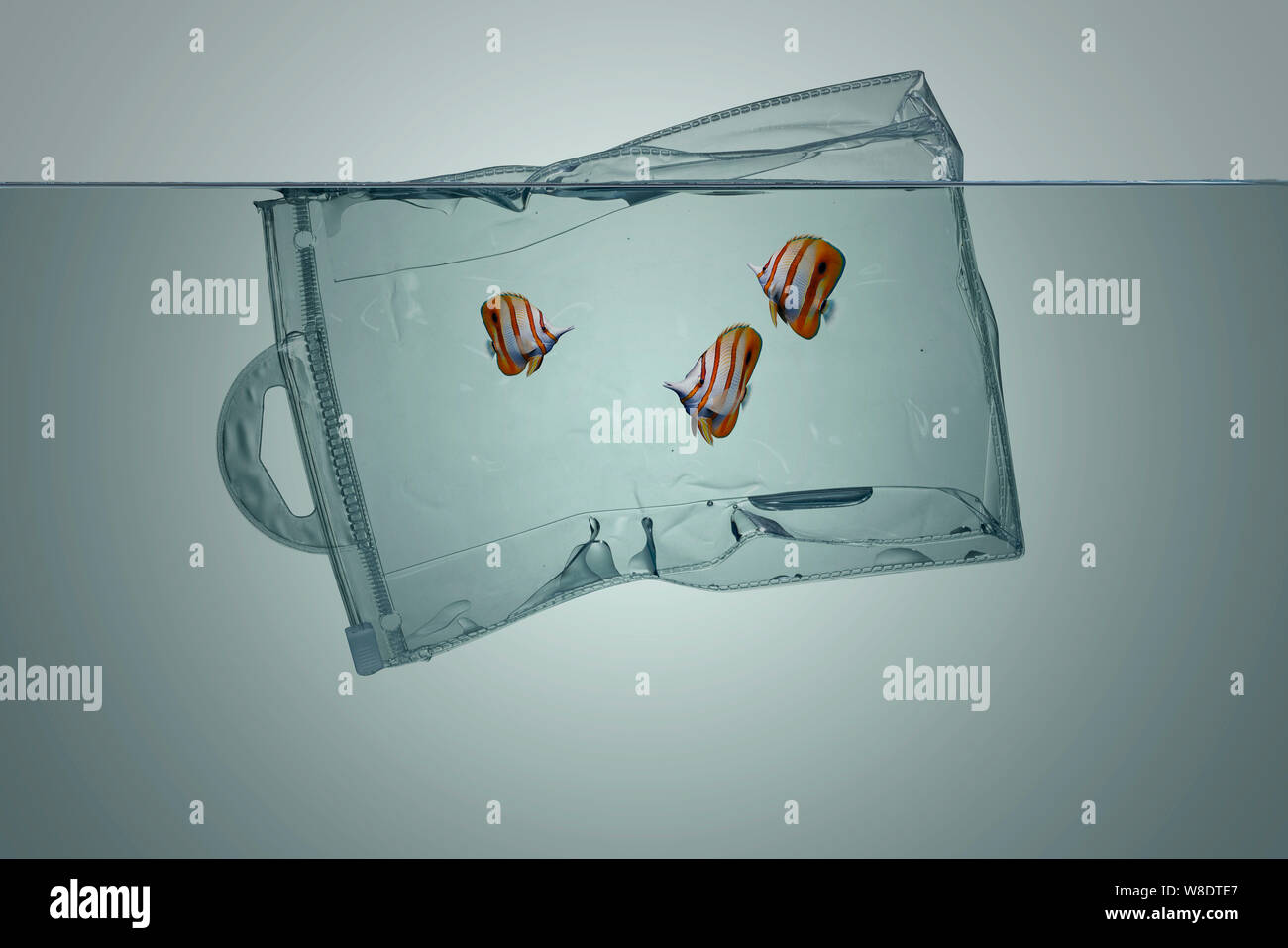 Plastic bag with fish, pollution that floats in the ocean Stock Photo -  Alamy