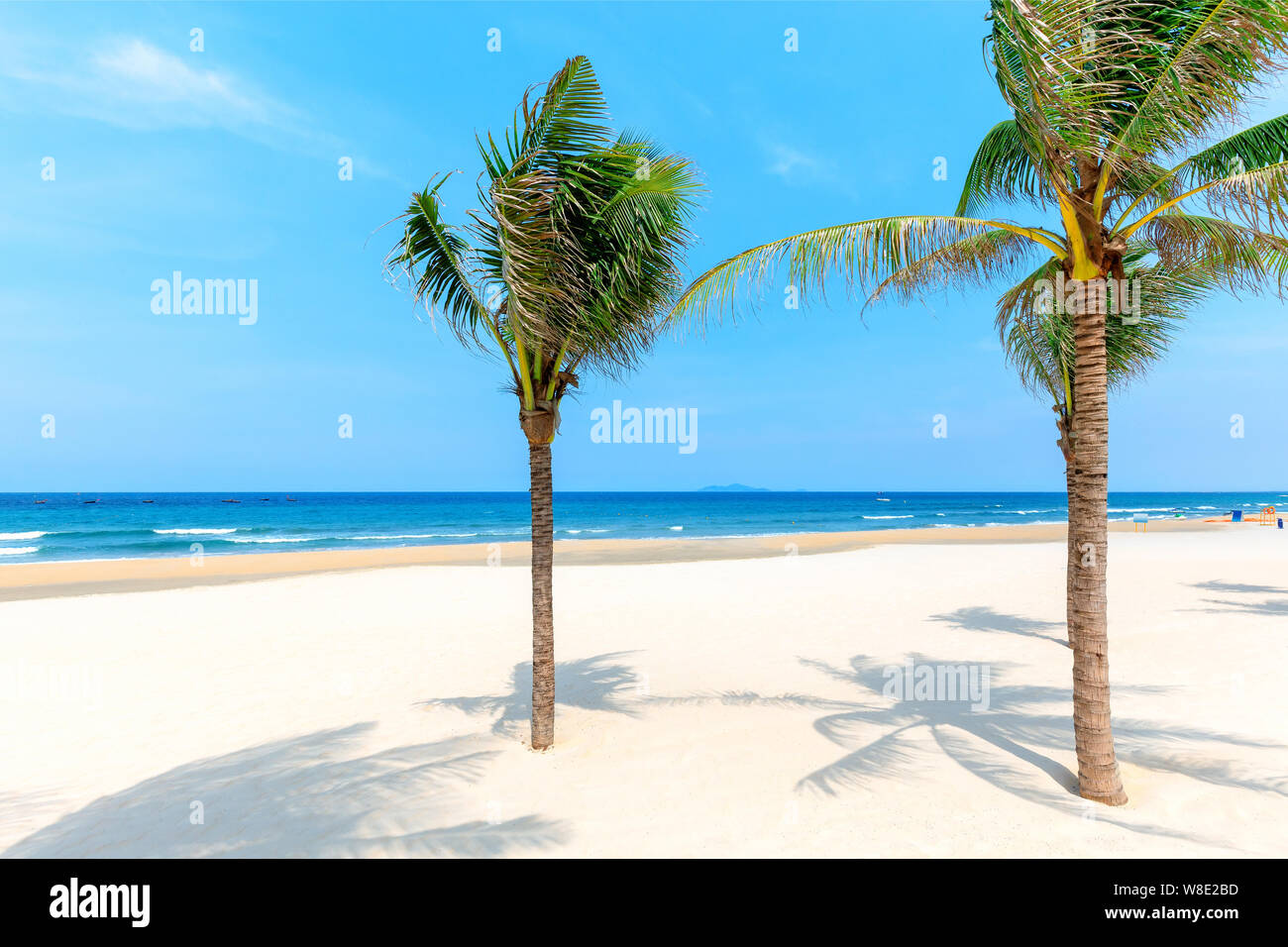 Coconut trees at the beach On the day that the sky was blue Stock Photo ...
