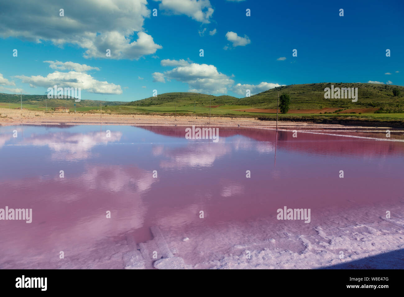 Pink salt basin in the front and green mountains in background with a clear blue sky. Stock Photo