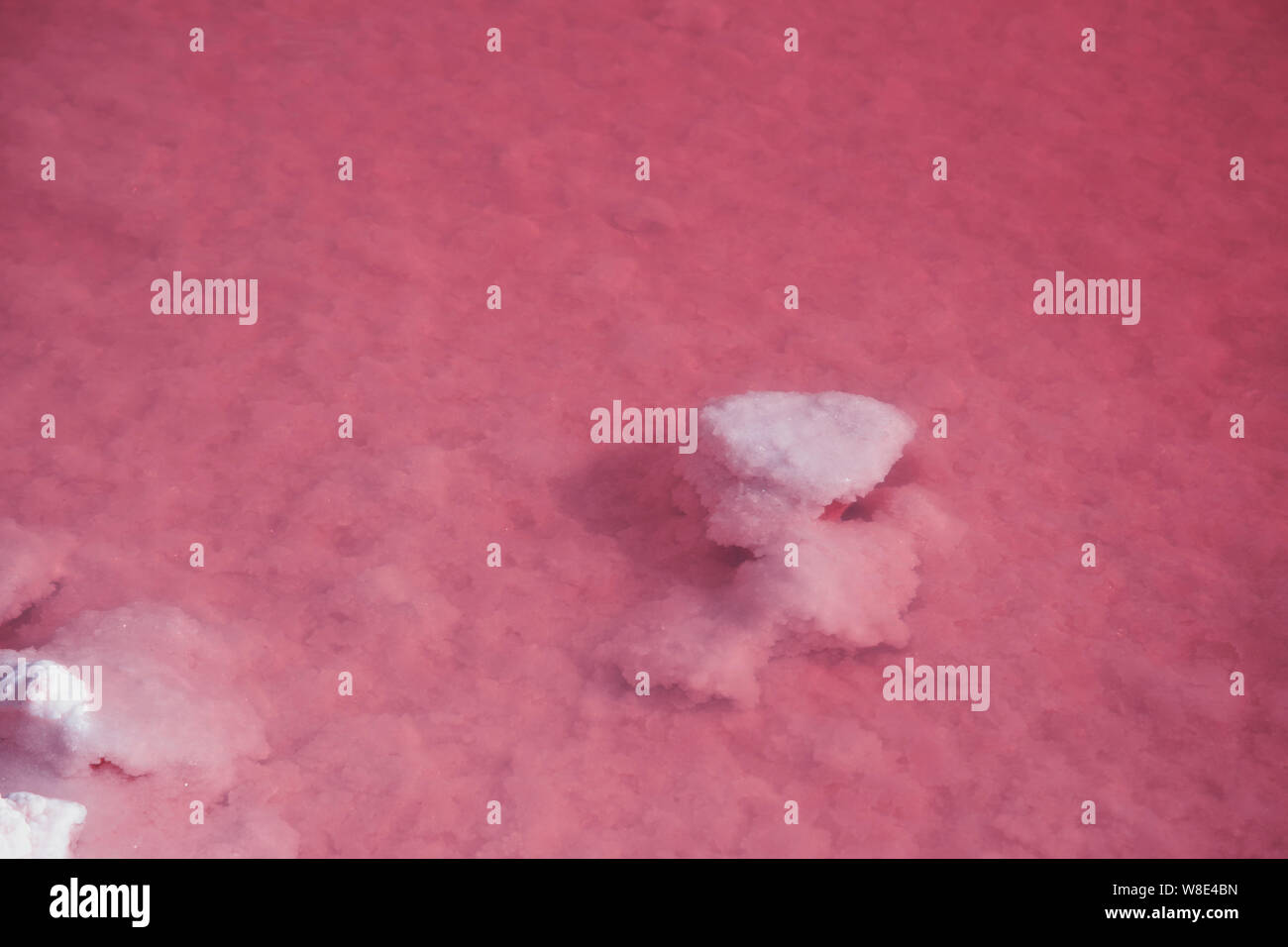Textured of different shapes of rocks of salt in a pink water basin ...