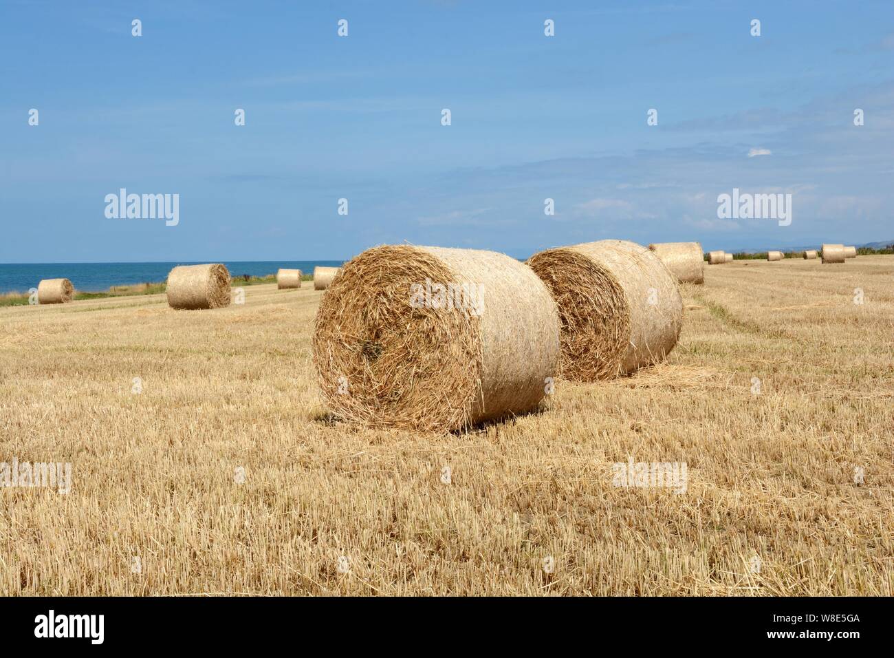 Big straw bales near the Ceredigion Coast Path Wales Cymru UK Stock