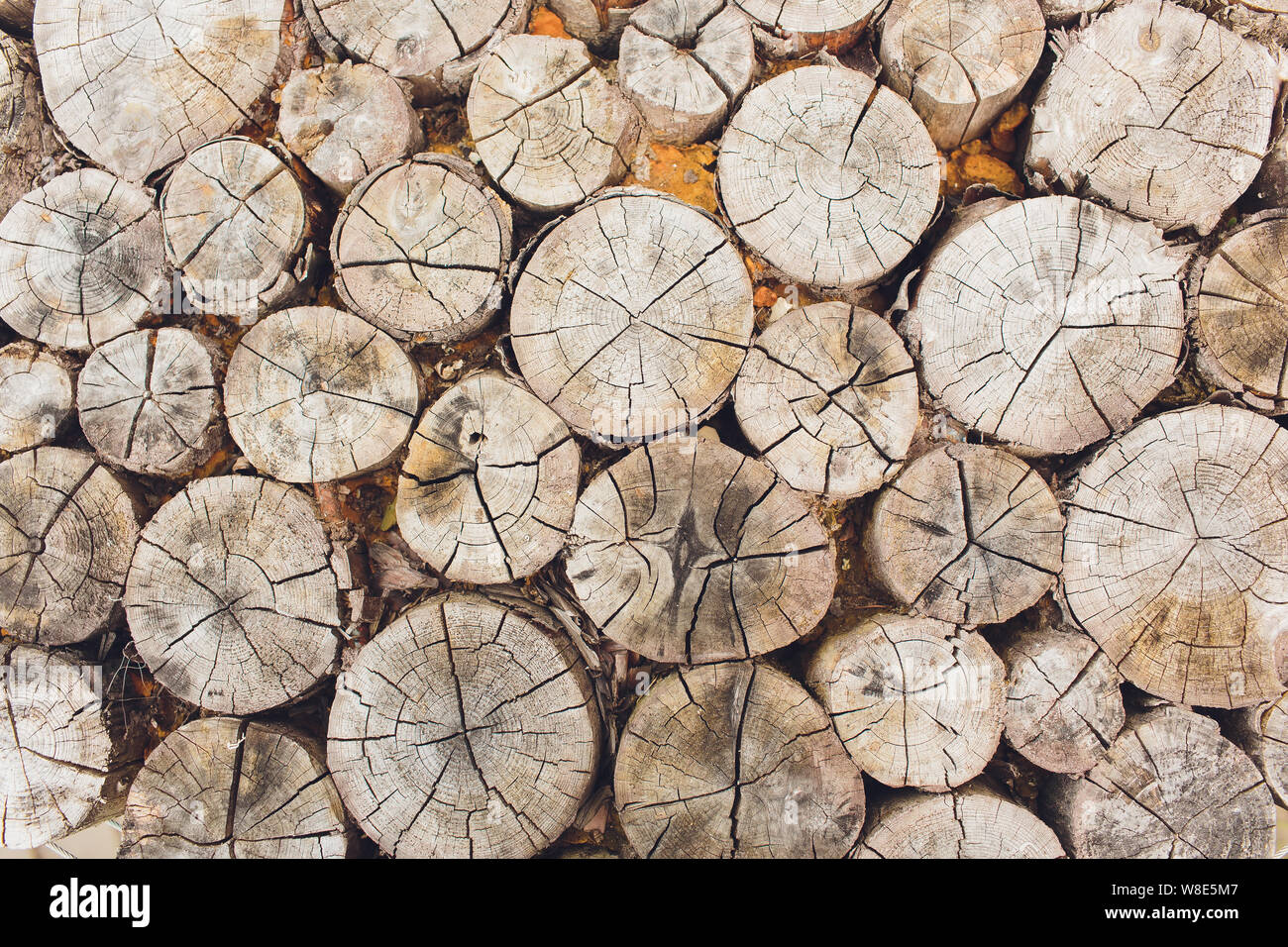Woodpile Art Stock Photos Woodpile Art Stock Images Page 2 Alamy