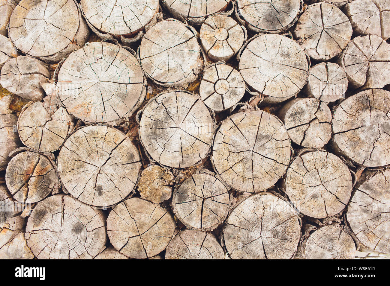 Logs Log Cuts Close Up Stack Of Logs Stack Of Firewood Close Up