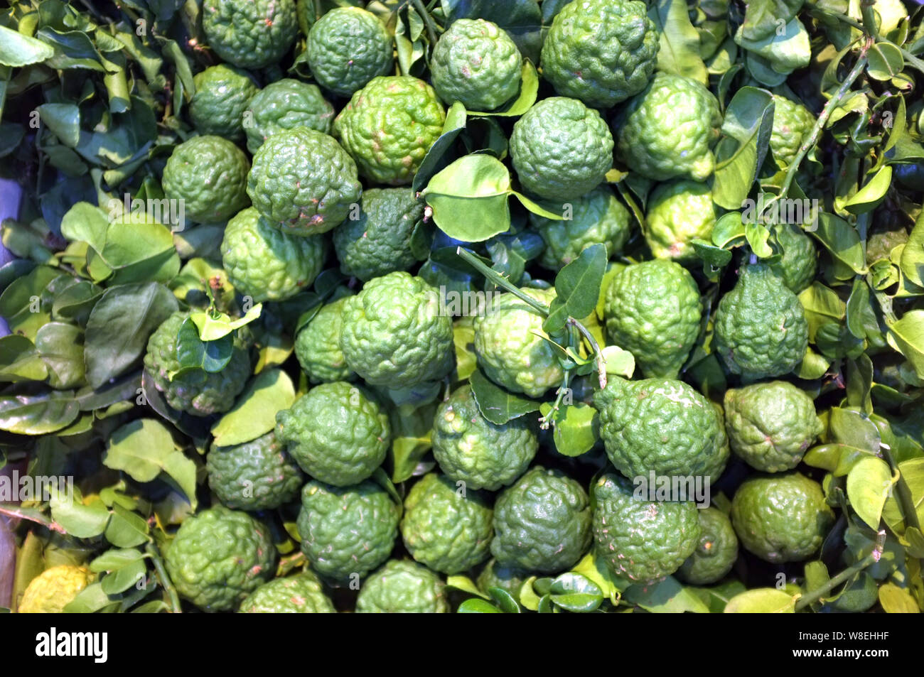 Fresh Bergamot Fruit On Market Stock Photo Alamy