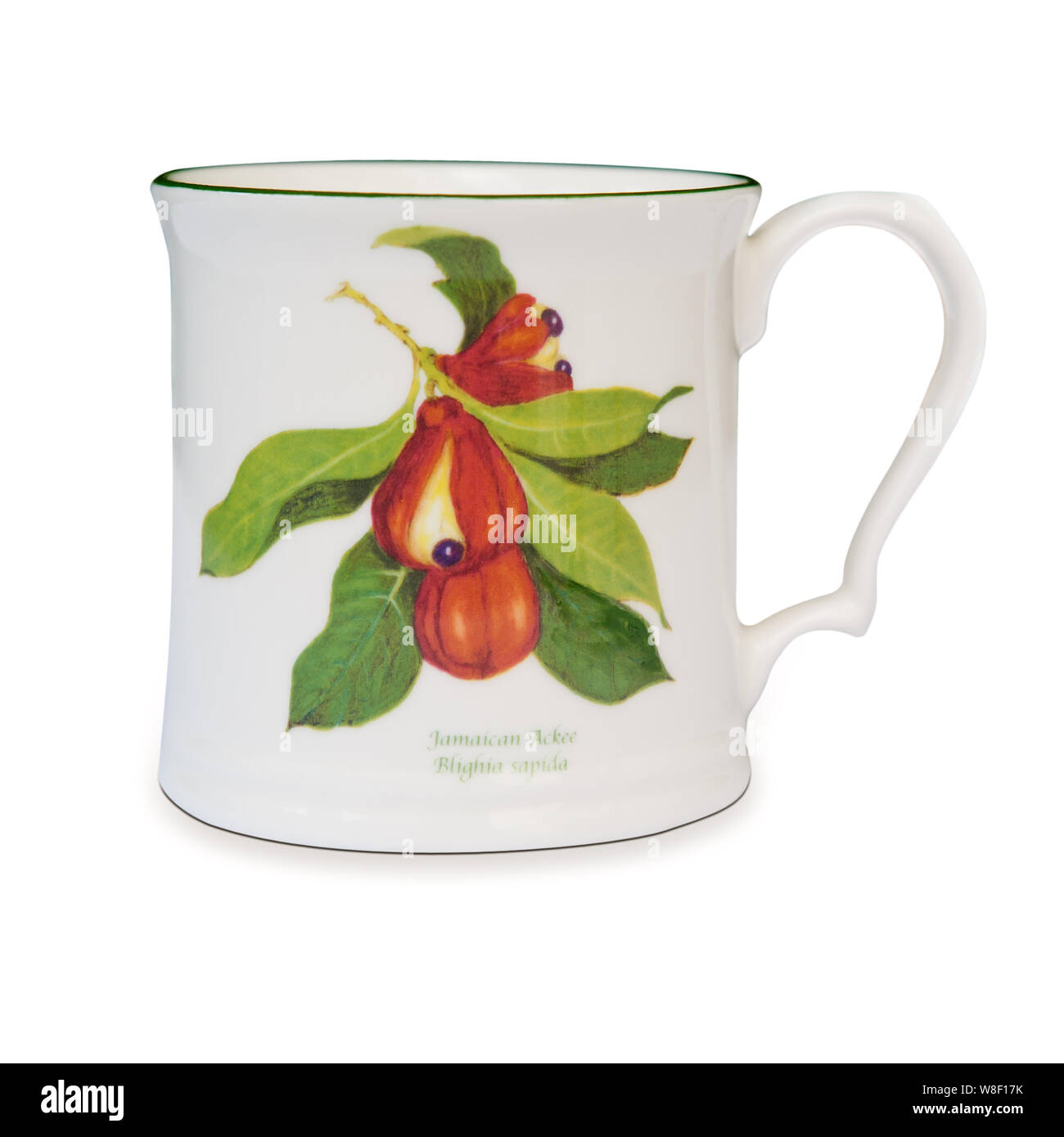 Tankard from Jenny Mein's Jamaican ackee collection Stock Photo