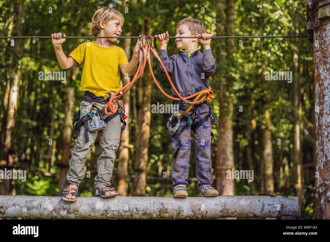 Two little boys in a rope park. Active physical recreation of the child ...