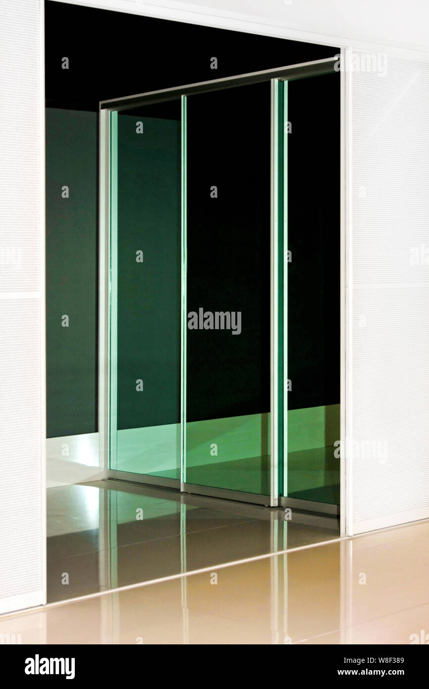 Mirrored Wardrobe Sliding Door With Reflection Of The Background