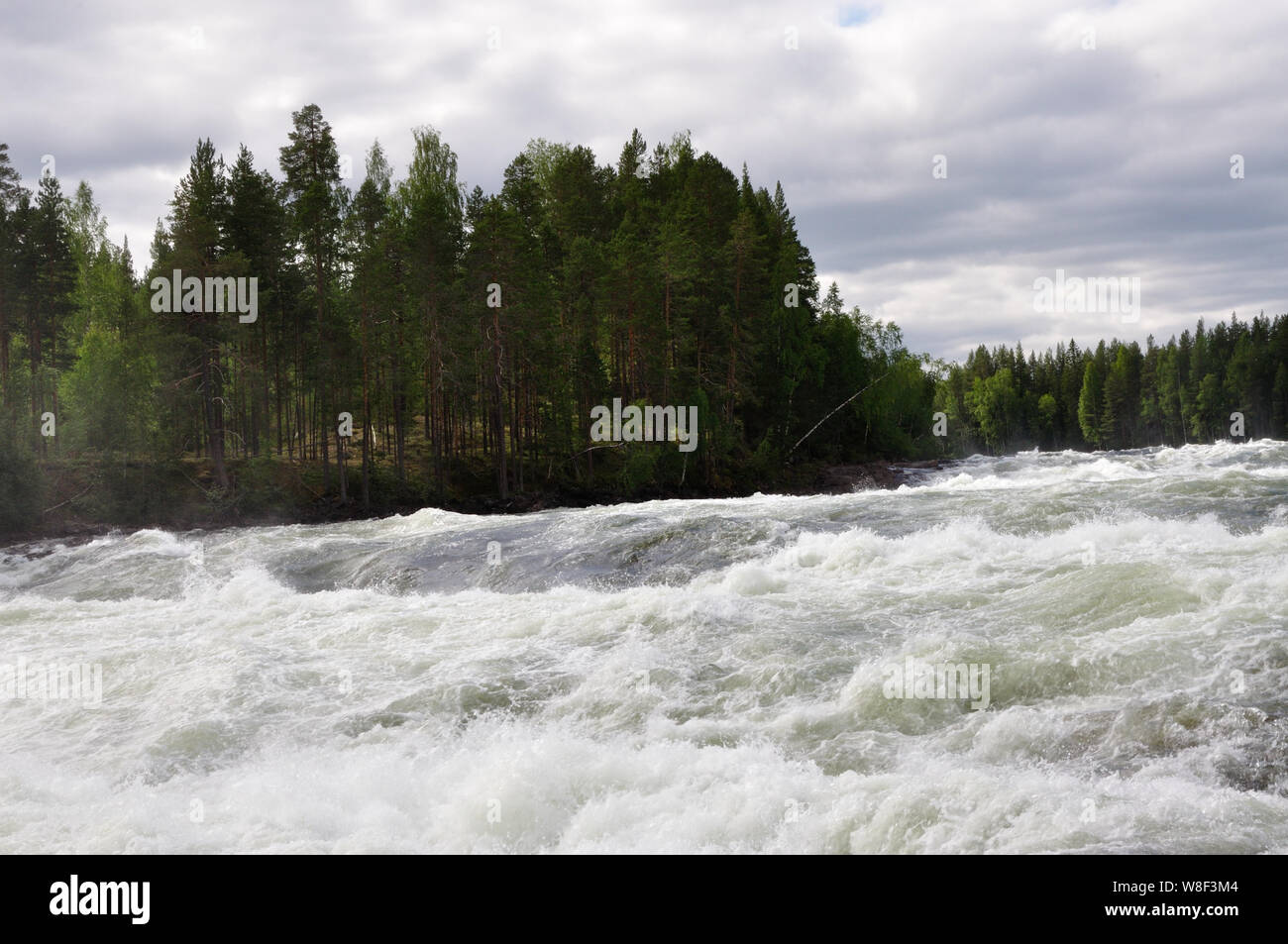 An den imposanten Stromschnellen Storforsen in Nordschweden. Sie gehören mit einer Fallhöhe von 60 Metern zu den größten Stromschnellen Skandinaviens. Stock Photo