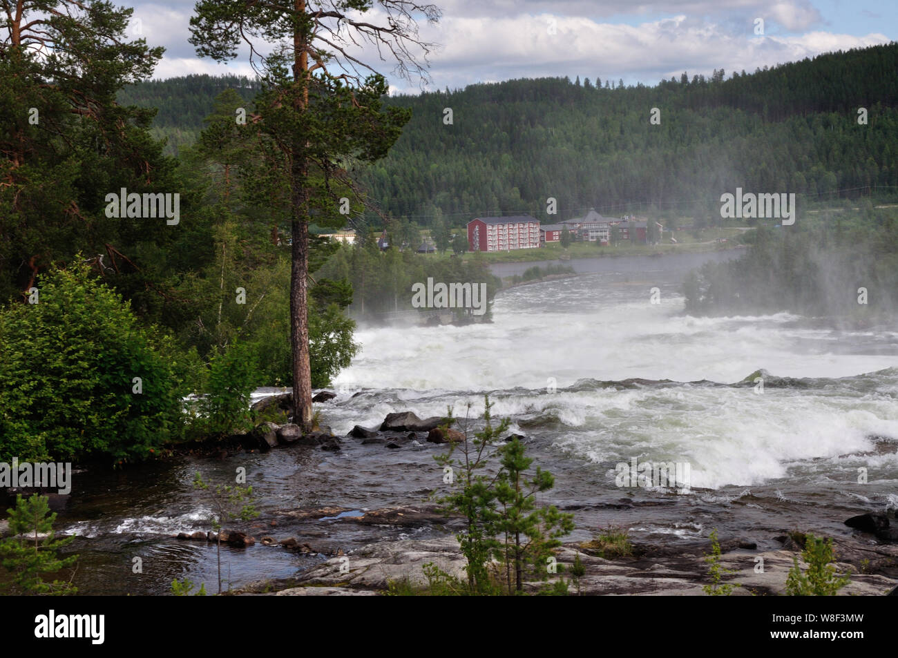 An den imposanten Stromschnellen Storforsen in Nordschweden. Sie gehören mit einer Fallhöhe von 60 Metern zu den größten Stromschnellen Skandinaviens. Stock Photo