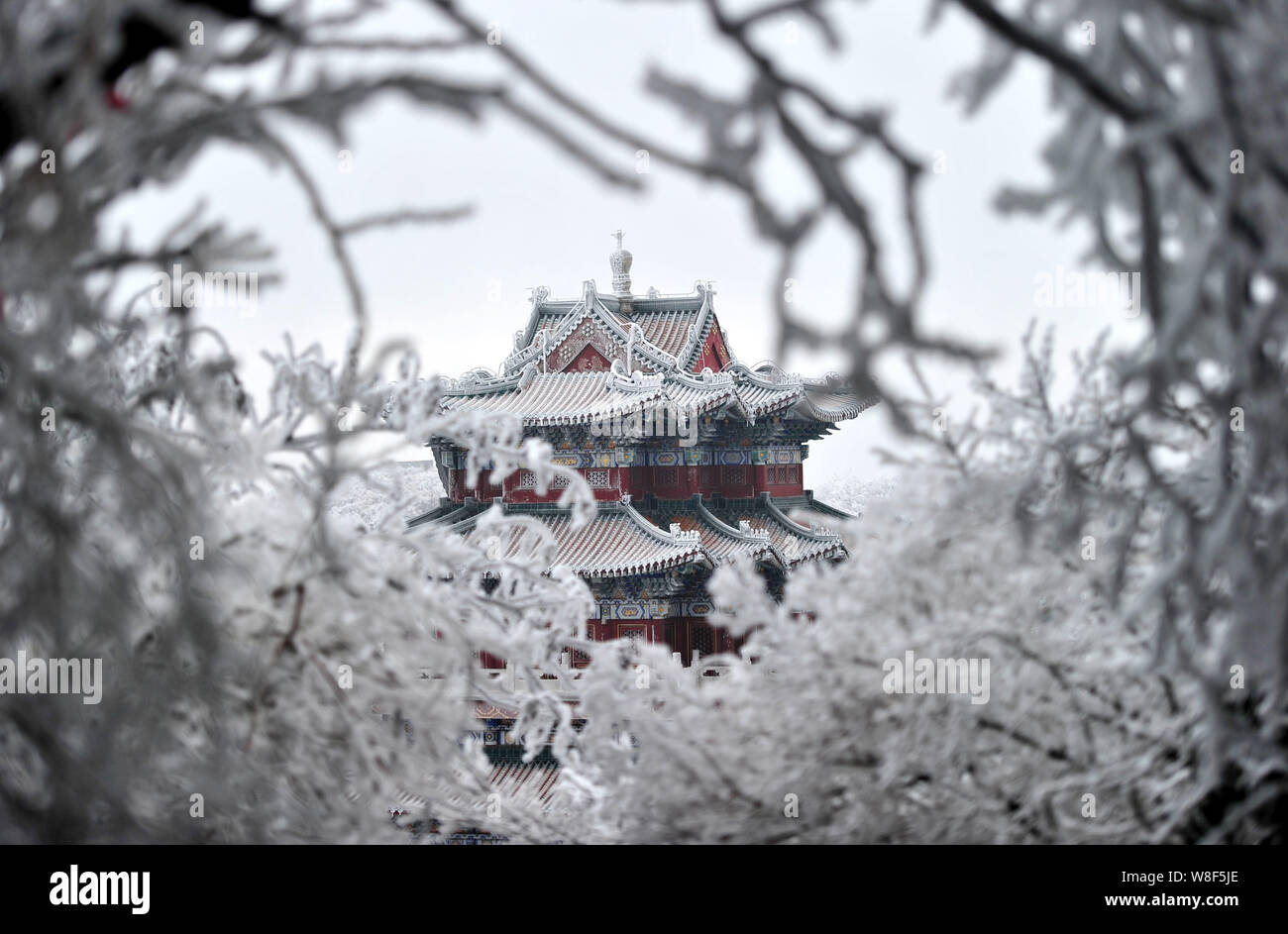 View of rime-covered trees and a snow-covered pavilion on Tianmen Mountain in Zhangjiajie city, central China's Hunan province, 29 January 2015. Stock Photo