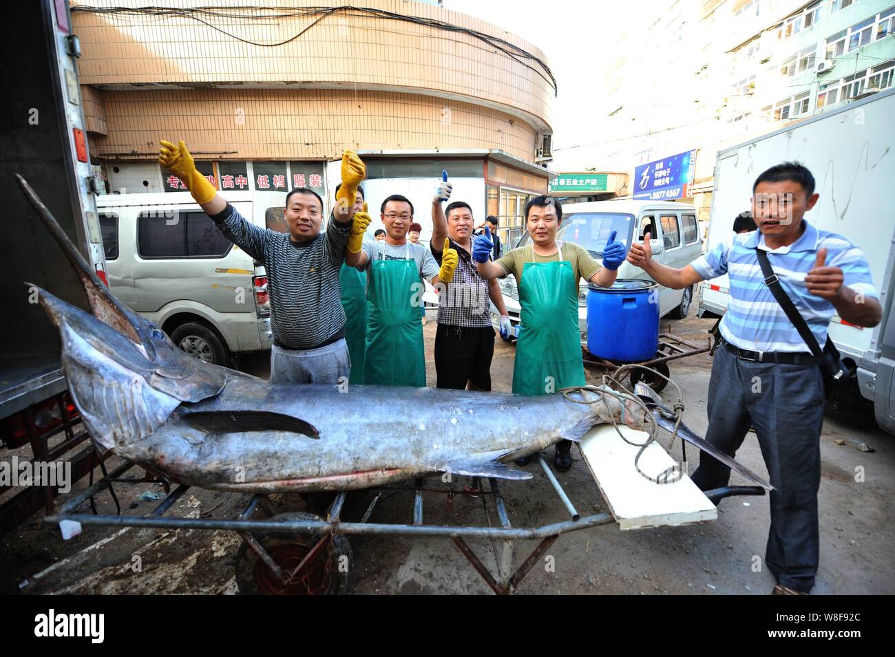 Chinese swordfish hires stock photography and images Alamy