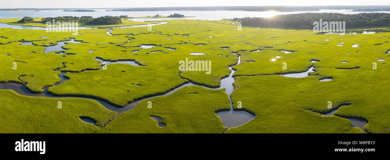 A healthy salt marsh grows in Pleasant Bay on Cape Cod, Massachusetts. This type of marine habitat serves as a nursery for fish and invertebrates. Stock Photo