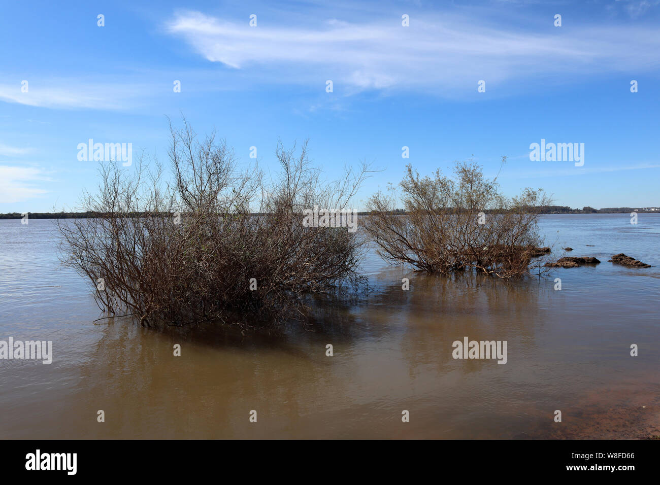 ENTRE RÍOS, View of National Park 'El Palmar', reserve of palms and original species 400 kilometers at north of Buenos Aires, Argentina Stock Photo