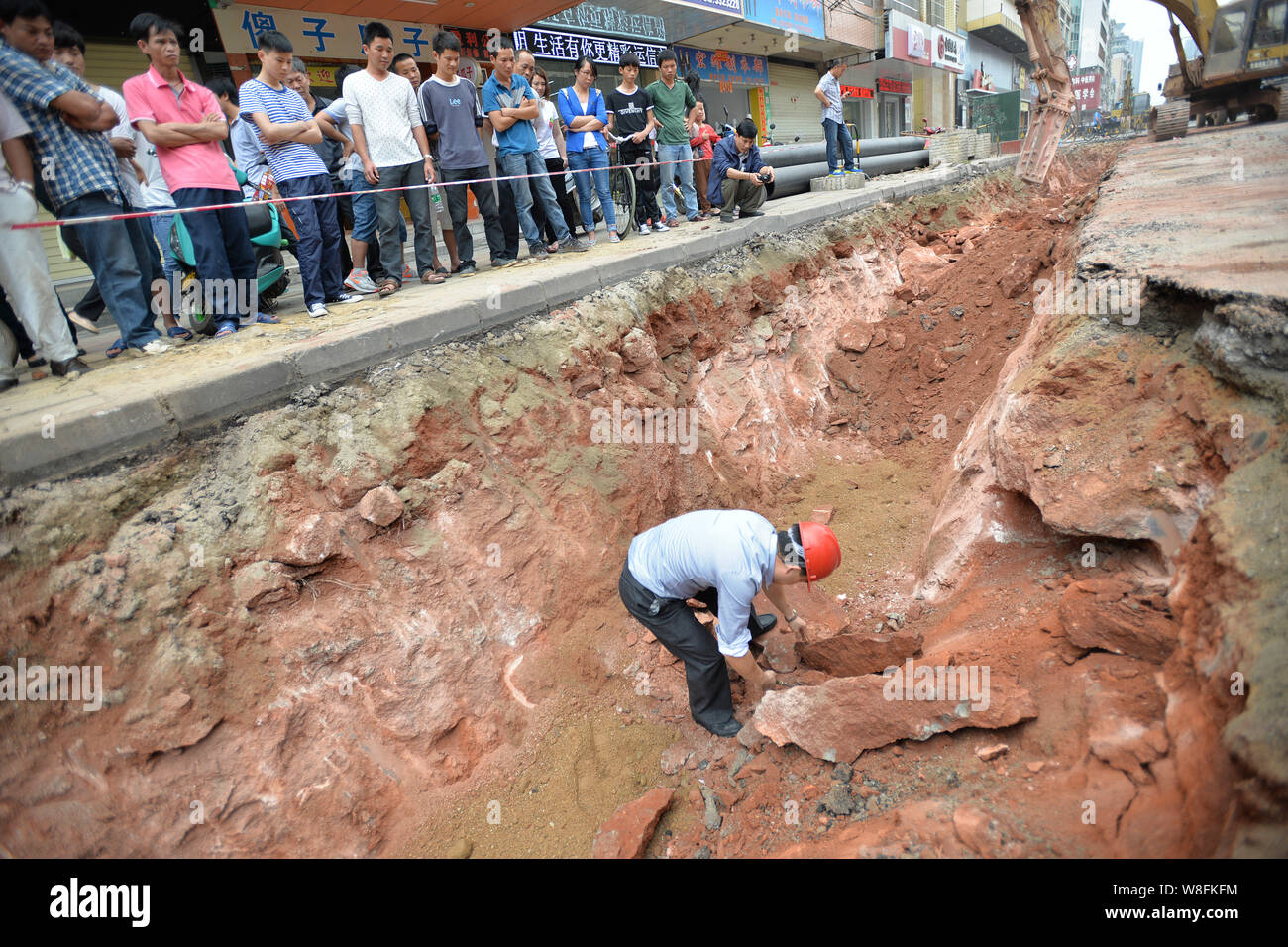 A Chinese archaeologist checks fossilised dinosaur eggs discovered during road works in Heyuan