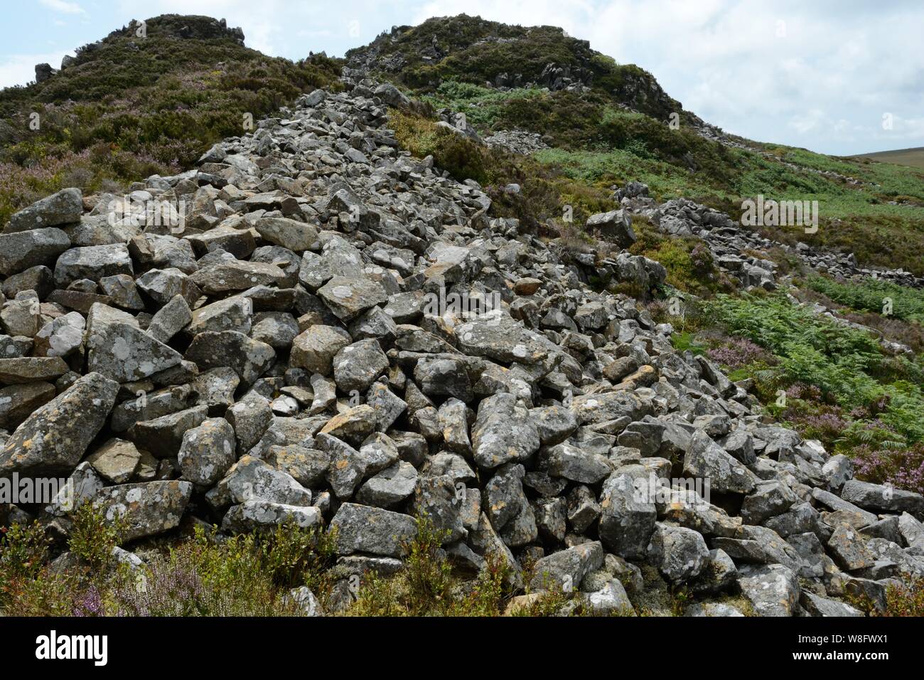 Well preserved rampants of Carn Ingli Mountain Fort Hill of the Angels angel Mountain Carningli Pembrokeshire National Park Wales Cymru UK Stock Photo