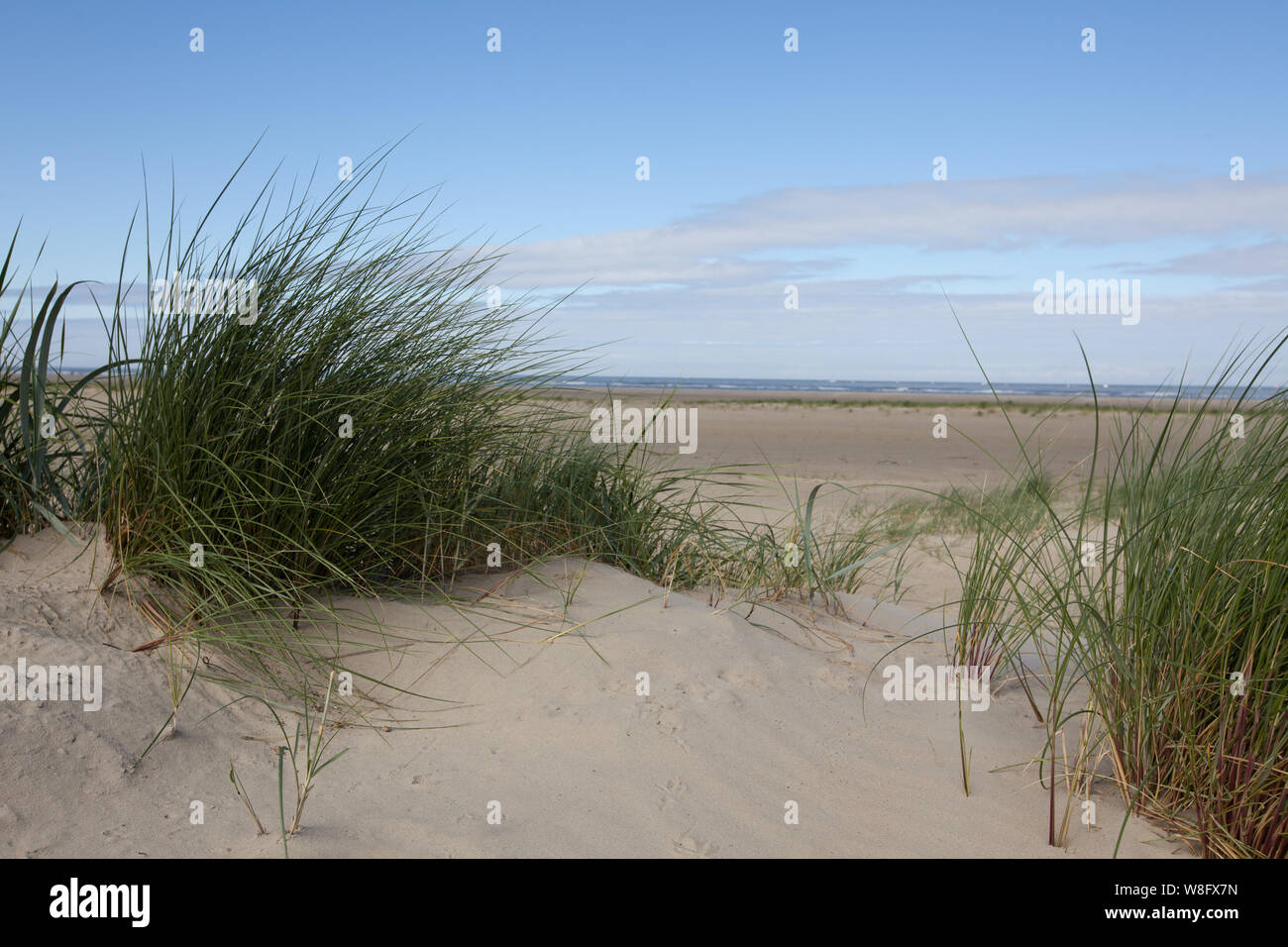 Dunes of Borkum, Germany, Europe, Isle, Borkum, a way to the sea Stock Photo