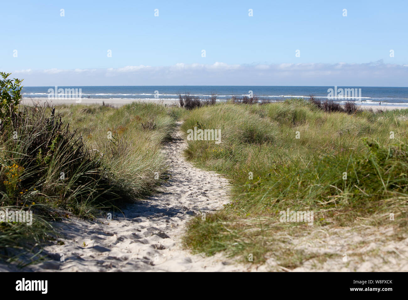 Dunes of Borkum, Germany, Europe, Isle, Borkum, a way to the sea Stock Photo