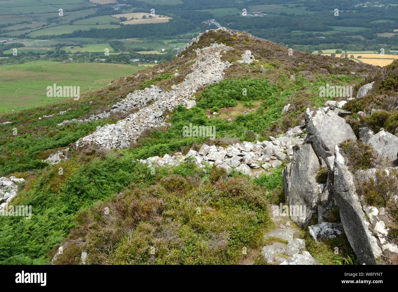 Well preserved rampants of Carn Ingli Mountain Fort Hill of the Angels angel Mountain Carningli Pembrokeshire National Park Wales Cymru UK Stock Photo