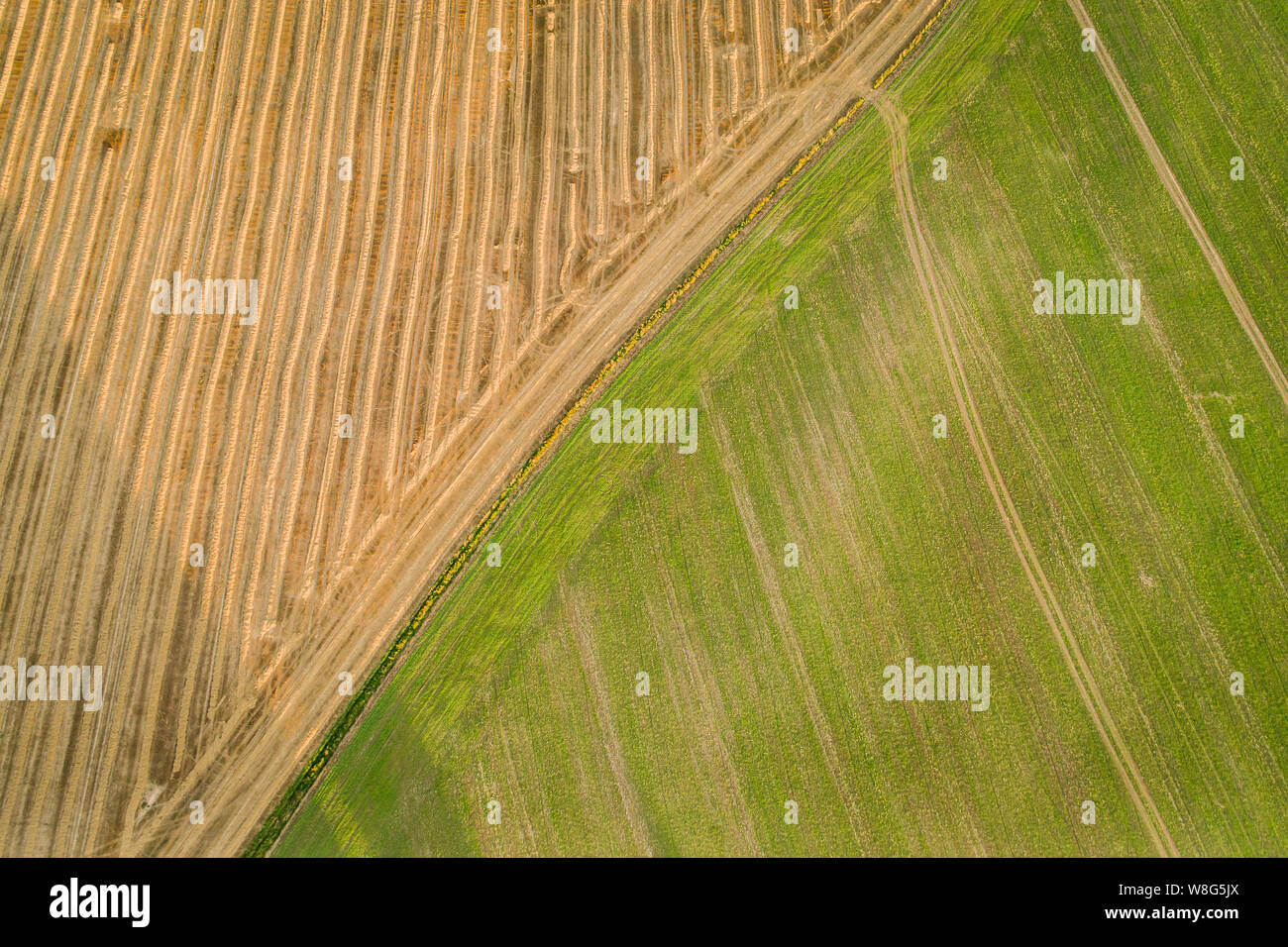 The Central Bohemian Region is an administrative unit of the Czech