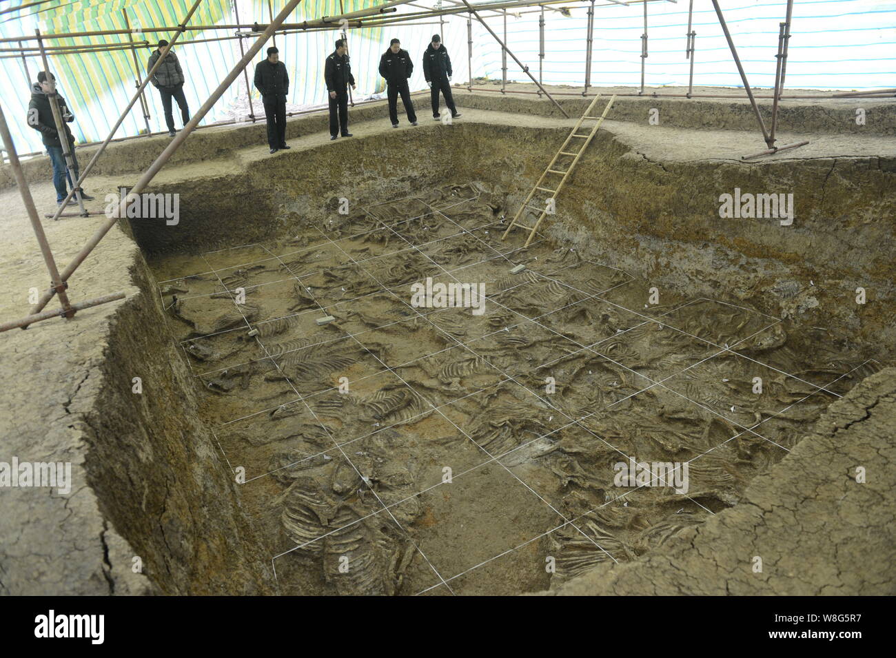 Archeologists survey a tomb dating back to either the Western Zhou Dynasty (1046 B.C.-771 B.C.) or the Spring and Autumn Period (771 B.C.- 476 B.C.) i Stock Photo