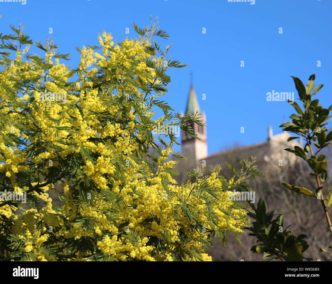Altavilla Vicentina Hi res Stock Photography And Images Alamy altavilla-vicentina-hi-res-stock-photography-and-images-alamy