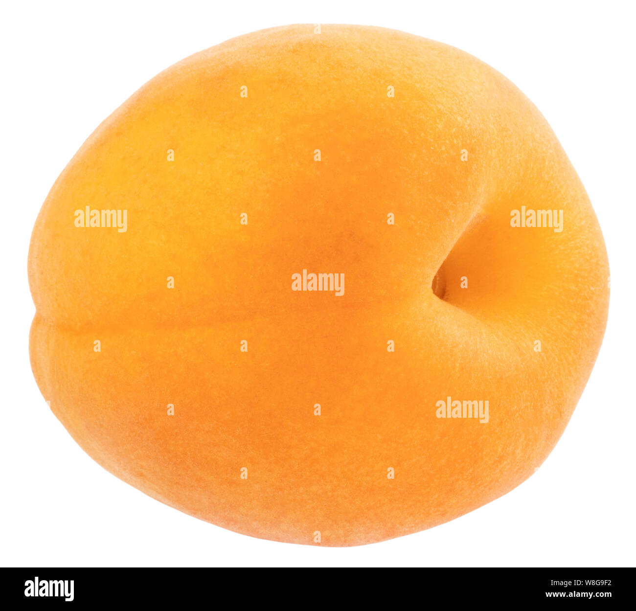 Apricot isolated on white background. Clipping Path Stock Photo - Alamy