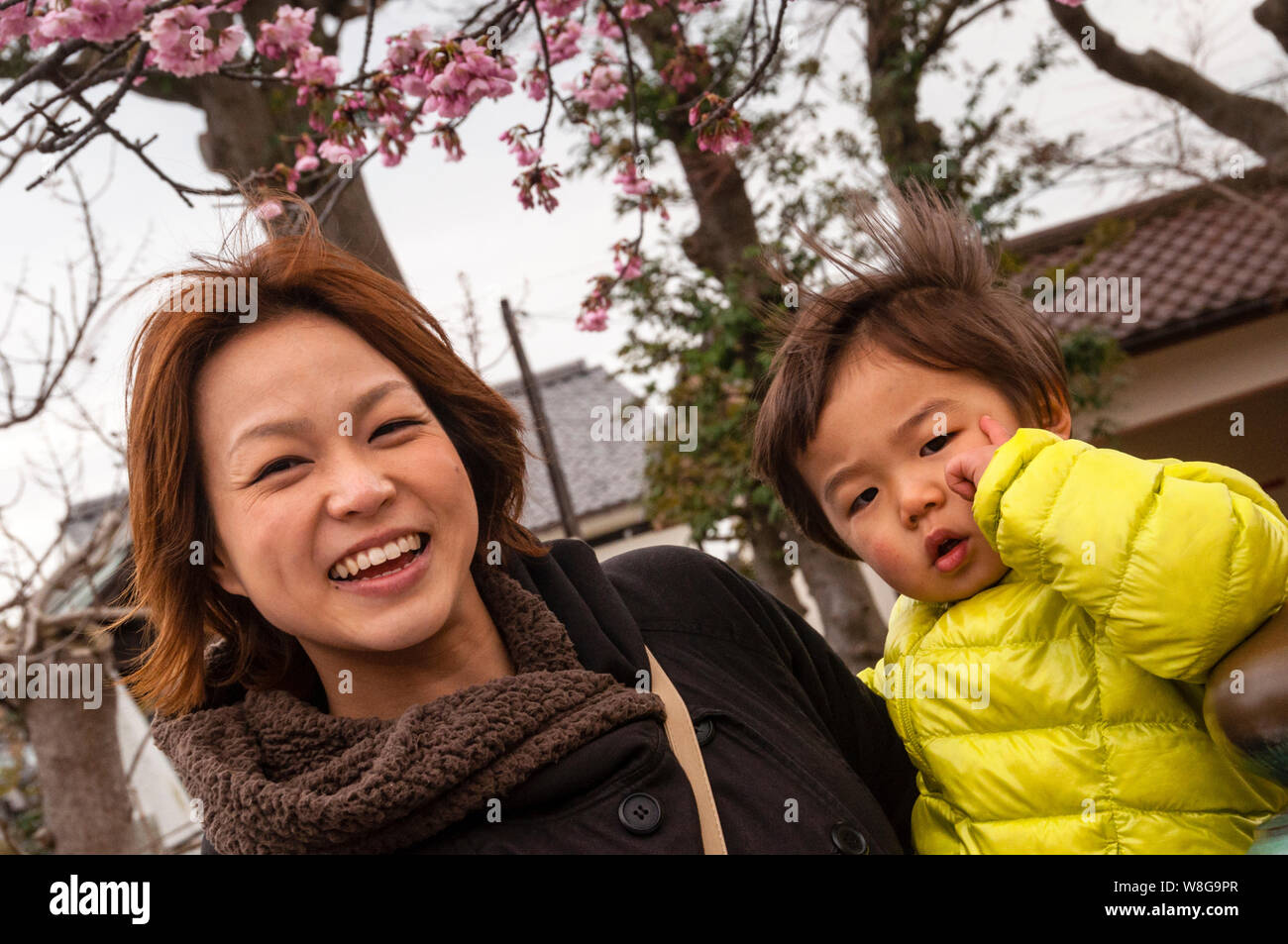 Japan Mother And Son Porno Video Telegraph