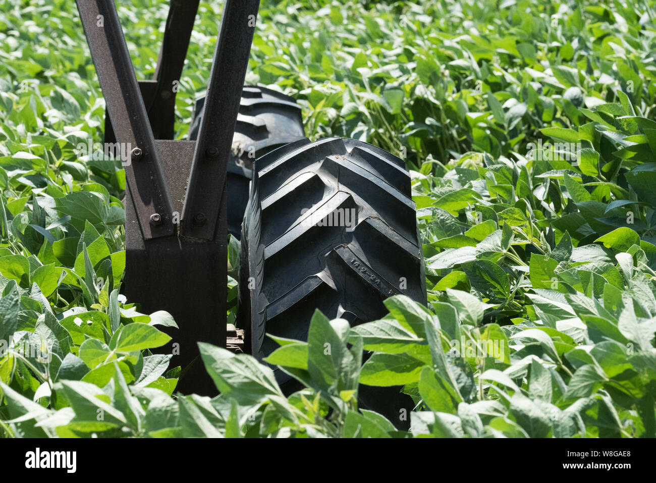 Close up of wheels of a moving irrigation system on a farm in Wisconisn Stock Photo