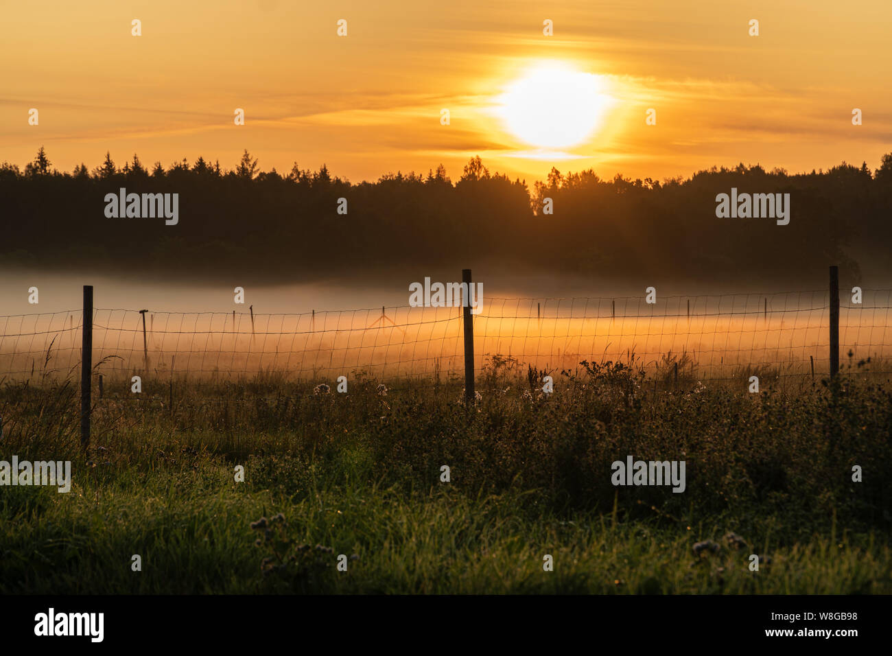 Sunrise scene in rural area with meadows and forest Stock Photo - Alamy
