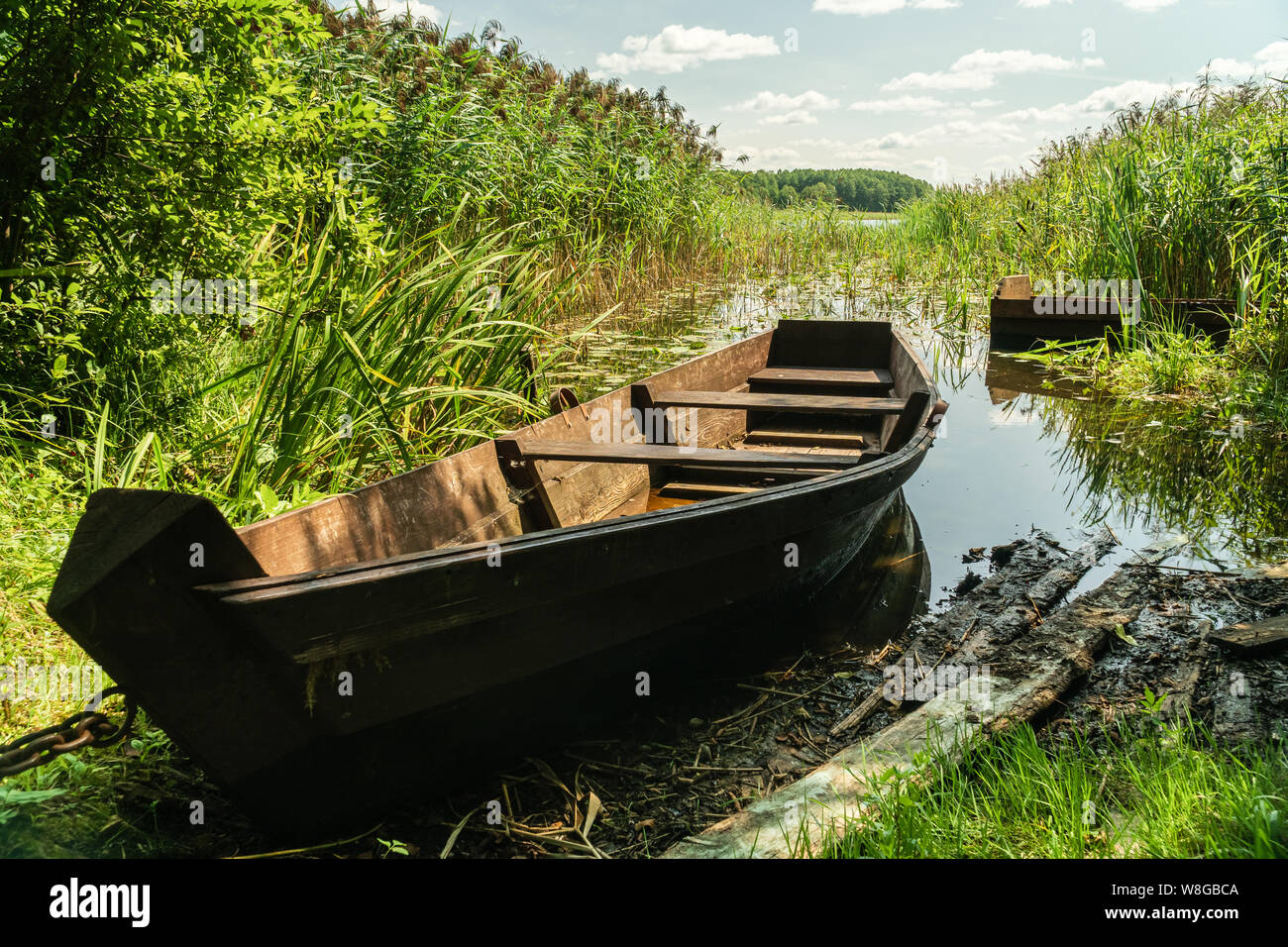 Old wooden boat on lake shore surrounded by reed plant Stock Photo - Alamy