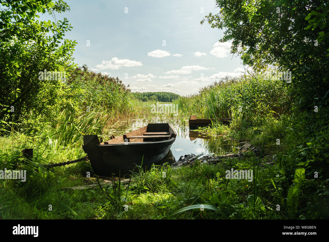 Old wooden boat on lake shore surrounded by reed plant Stock Photo - Alamy