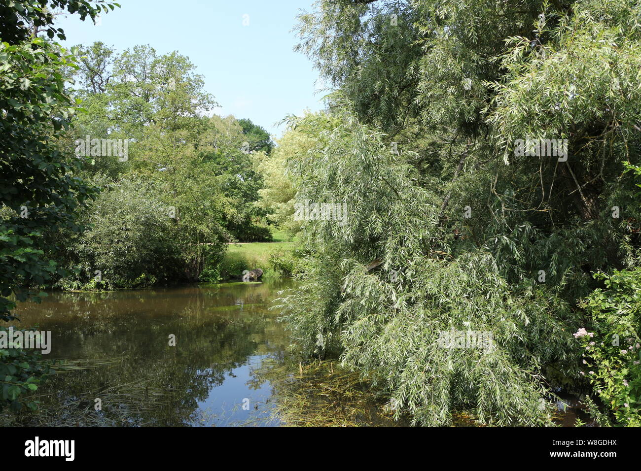 Kleiner Teich im Kurpark von Bad Bevensen in der Lüneburger Heide in ...