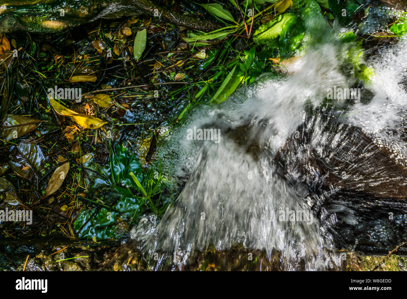 A close-up shot of rushing water Stock Photo - Alamy