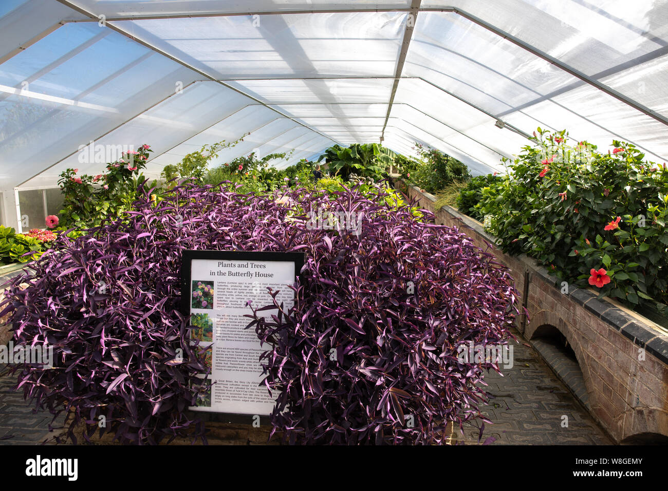 The Butterfly House at Blenheim Palace Stock Photo Alamy