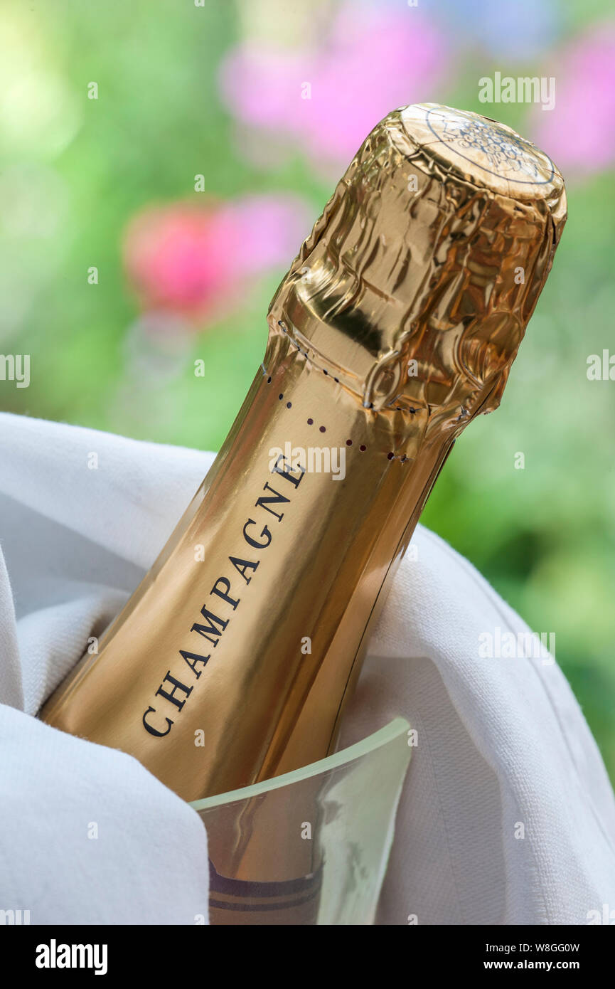 Champagne bottle on ice in crystal wine cooler in late afternoon light alfresco luxury summer picnic event situation Stock Photo