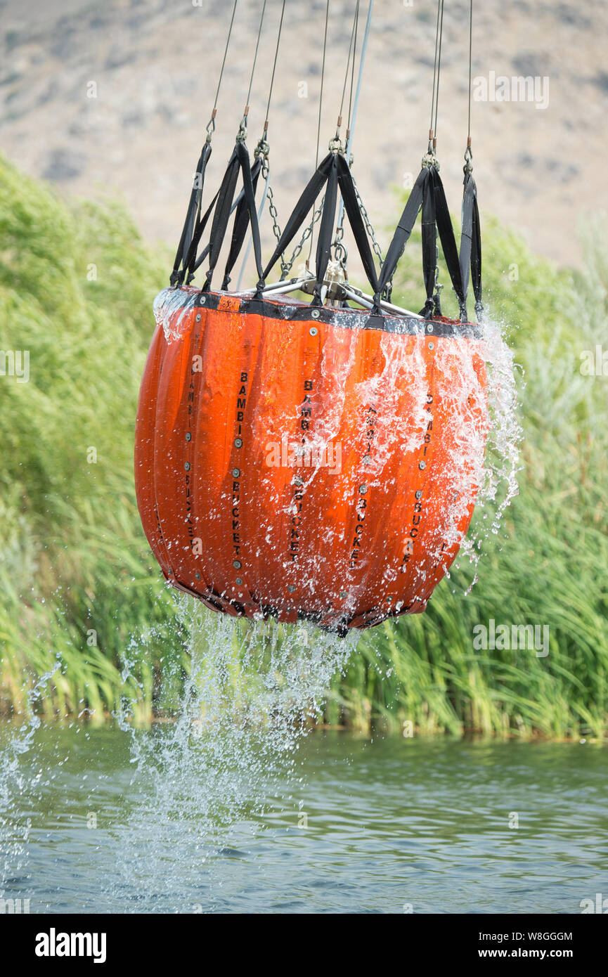 Bambi bucket hires stock photography and images Alamy