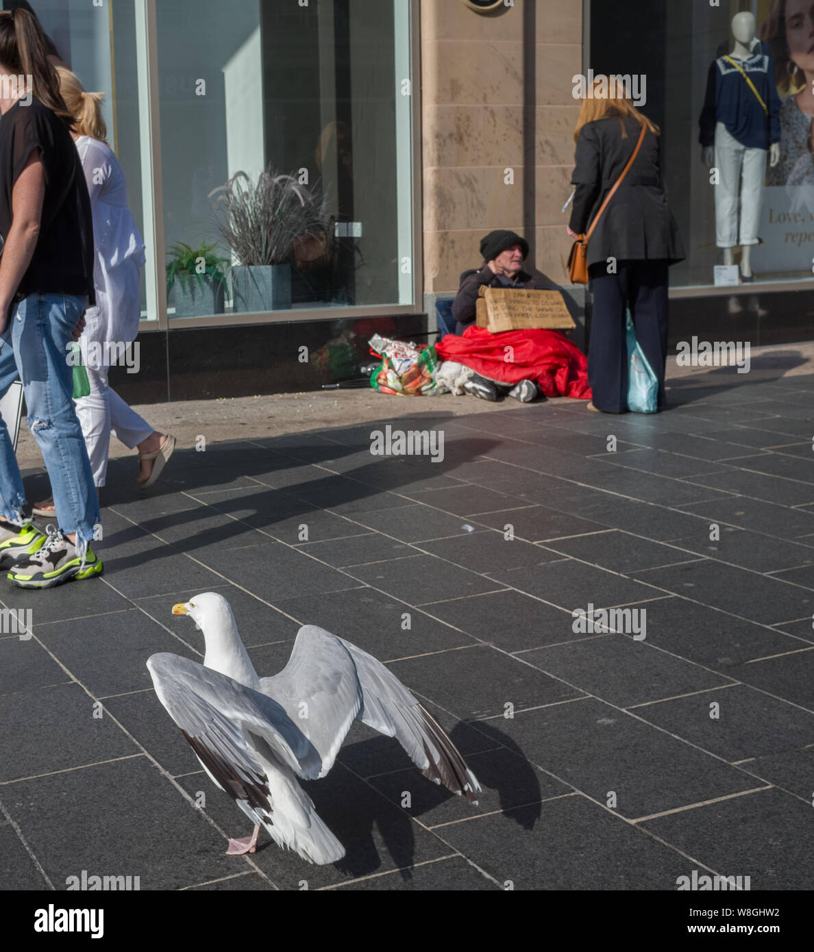 August 1st 2019: A passer by taks to a homeless man with a seagull in the foreground outside Liverpool, Uk. Stock Photo