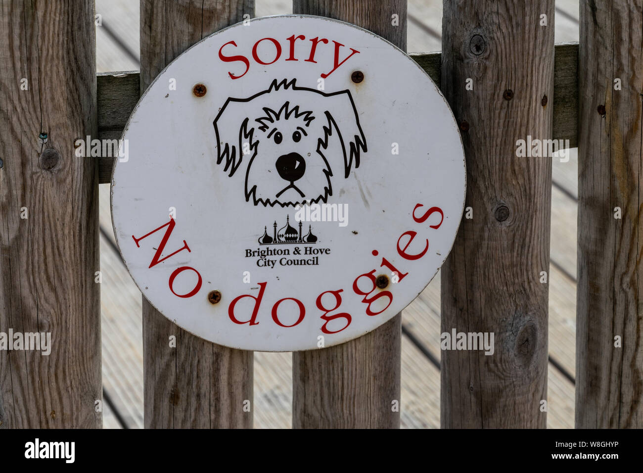 ign on Brighton beach 'Sorry No Doggies', Sussex, England Stock Photo