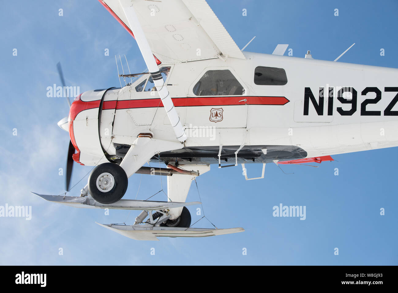 A de Havilland Beaver DHC-2 seaplane aircraft outfitted with skis for winter on March 2, 2018. Stock Photo