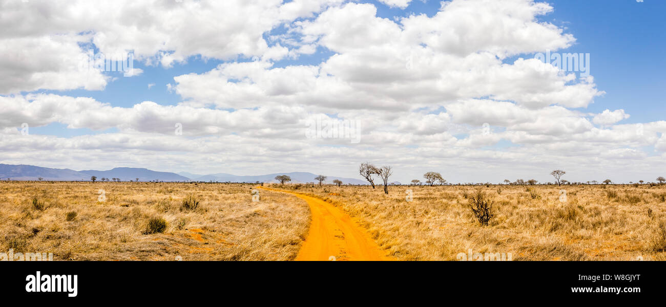 Amazing savannah plains landscape and safari road in Kenya Stock Photo