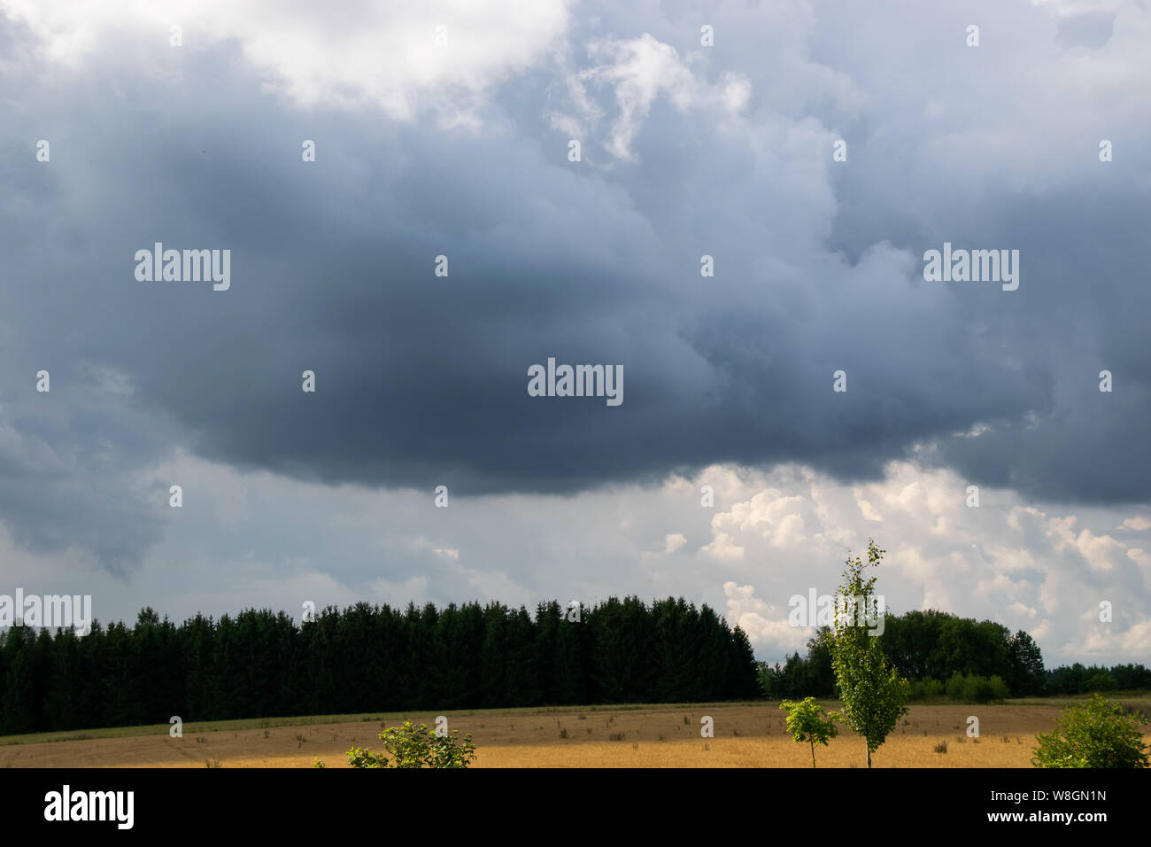 Estonian  nature Stock Photo