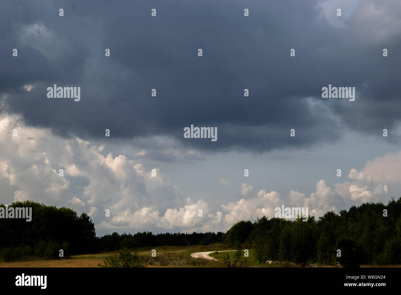 Estonia Landscape Stock Photo