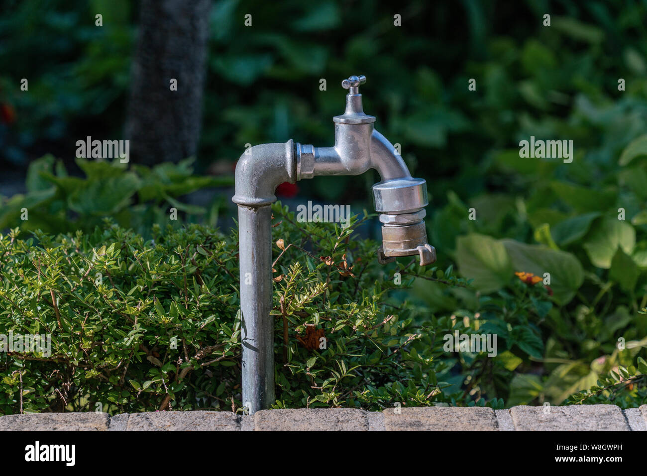 freestanding garden water tap with lush green plants in the background