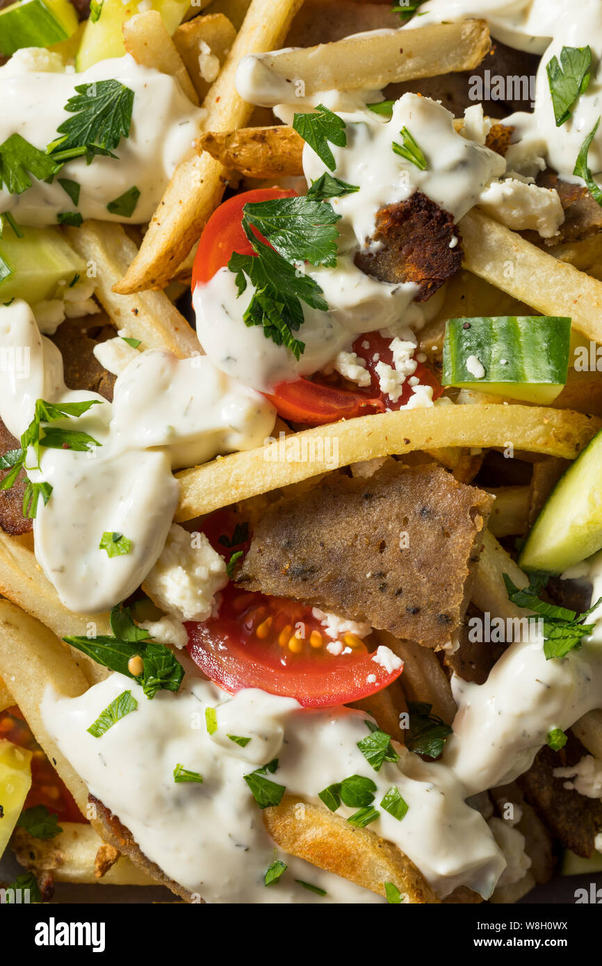 Homemade Greek Gyro Meat French Fries with Tzatziki Sauce Stock ...